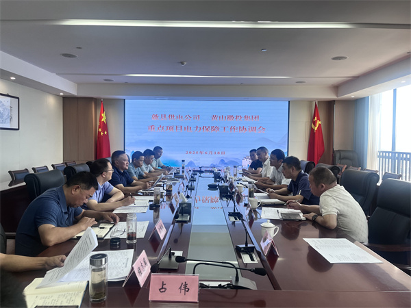 6月18日，歙县供电公司总经理张杰带队赴集团就重点项目电力保障工作进行座谈交流，洪董、潘总、余总、张总，市政、逸宁等单位参加座谈。.jpg