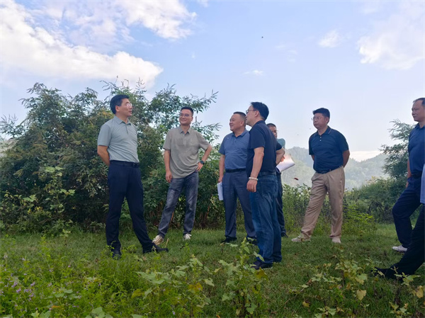 9月15日，王奇勇县长调研新安江航道综合整治提升工程，集团洪董、张总陪同调研.jpg